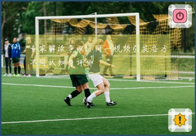专家解读争议：同一视频引发各方不同认知与评价