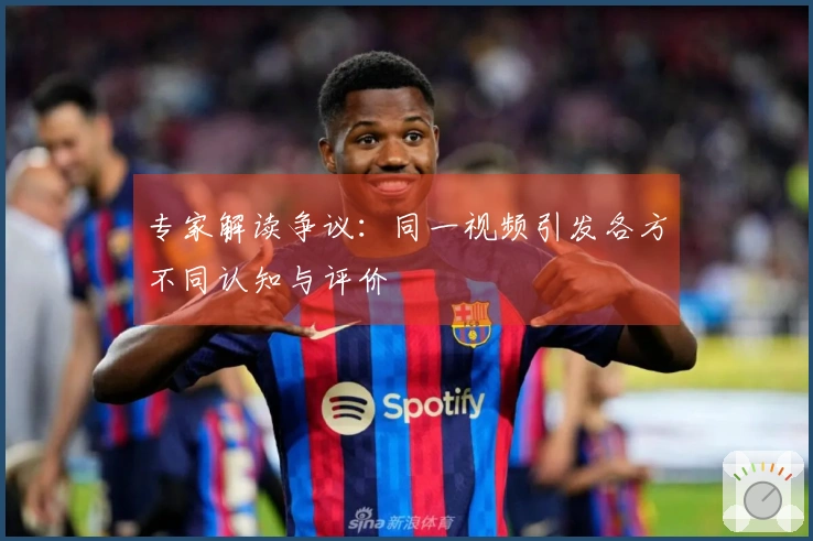专家解读争议：同一视频引发各方不同认知与评价